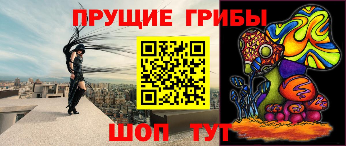 Галлюциногенные грибы MAGIC MUSHROOMS  Вход с VPN  Псилоцибиновые грибы ЛСД  Холмск 